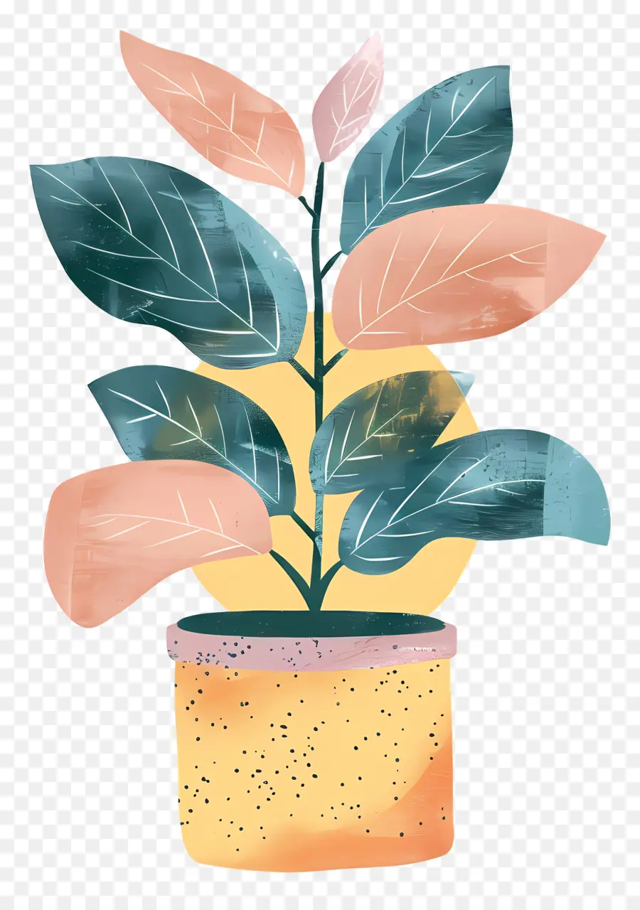 Plante En Pot，Illustration Aquarelle PNG