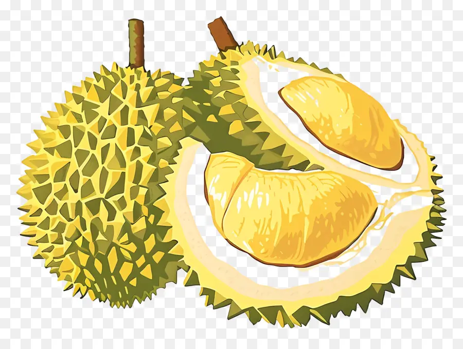 Le Durian，Le Durian Fruits PNG