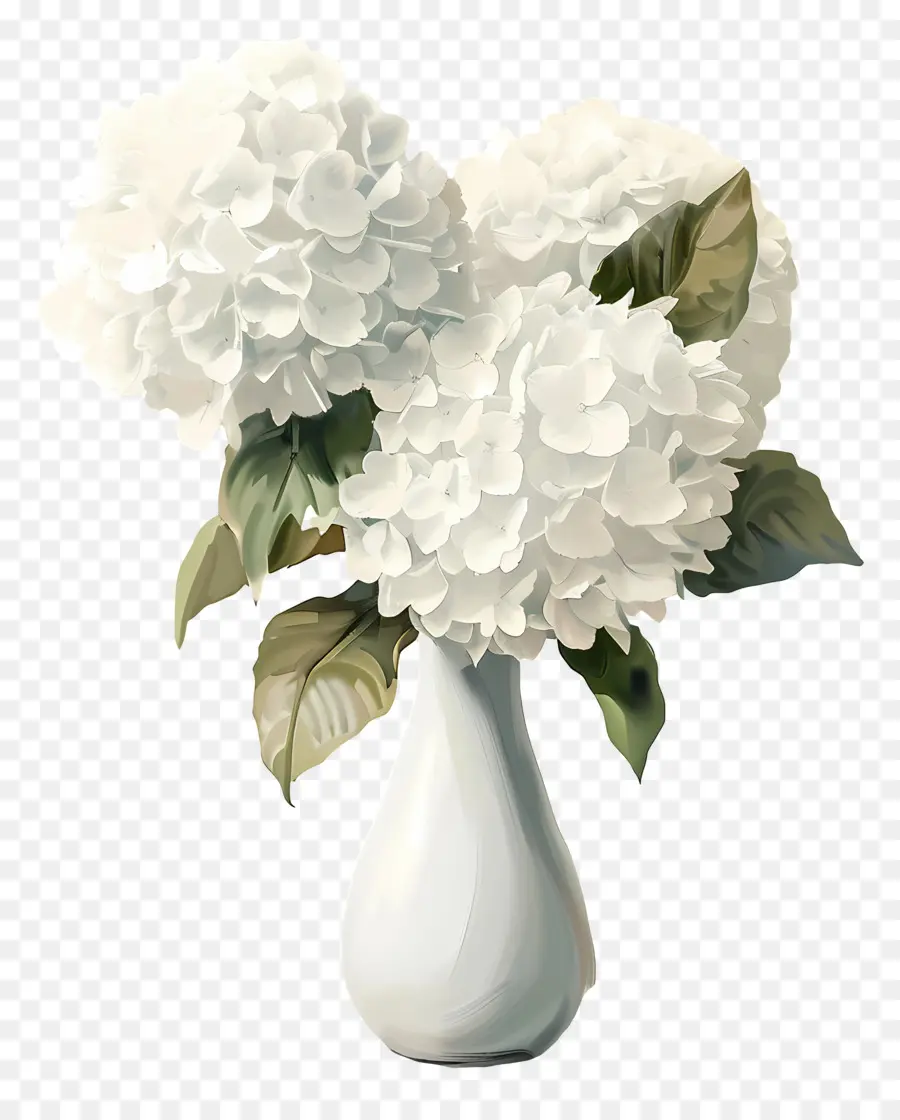 Hortensia Blanc，Hortensias Blancs PNG