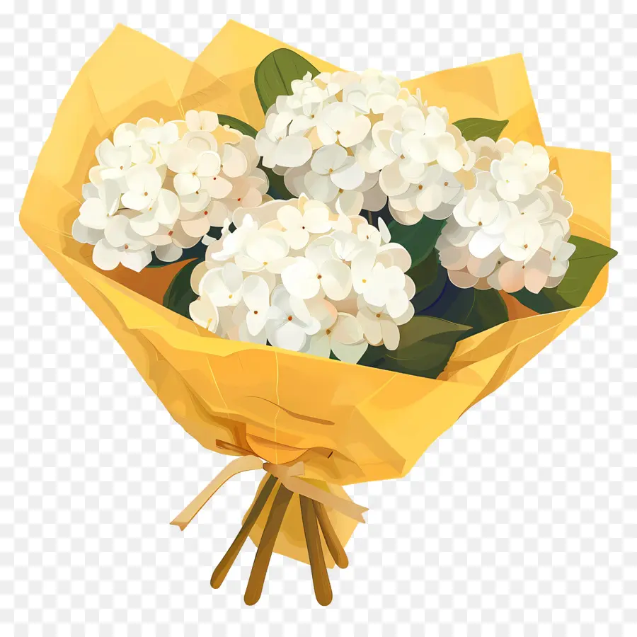 Hortensia Blanc，Bouquet PNG