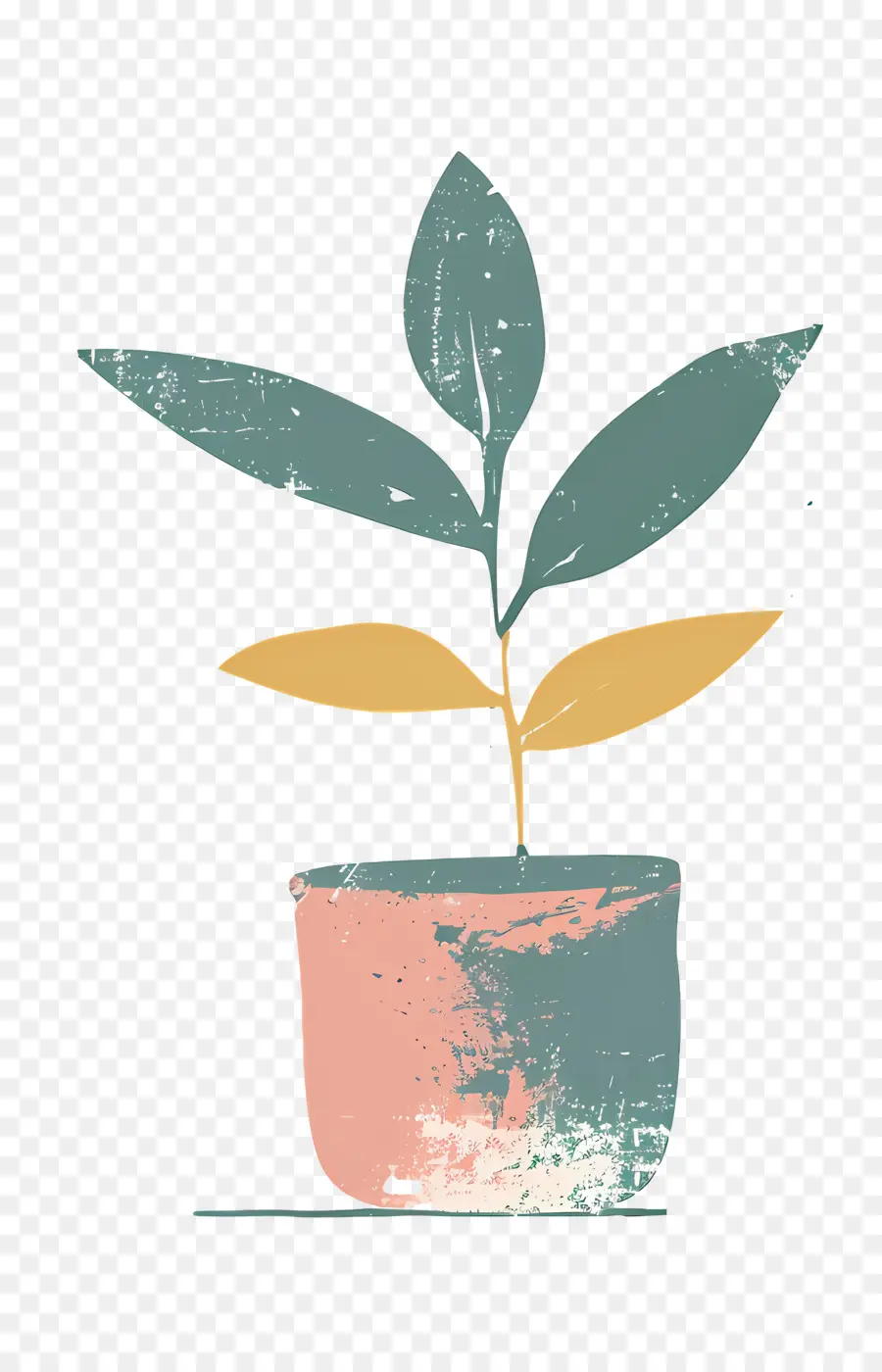 Plante En Pot，Tige PNG
