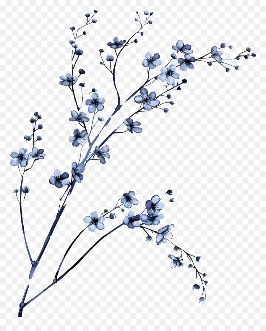 Fleurs Bleues，Sakura Fleur PNG