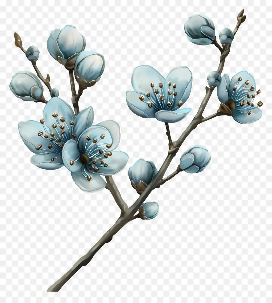 Fleurs Bleues，Branche PNG