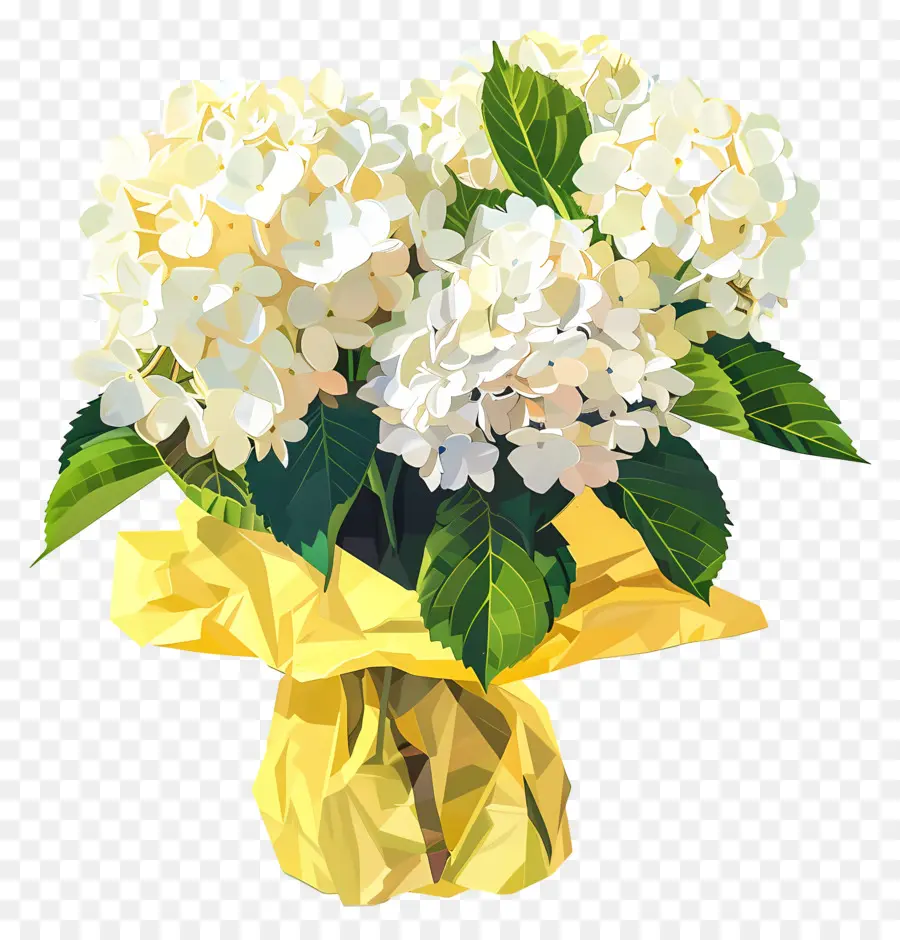 Hortensia Blanc，Fleurs PNG