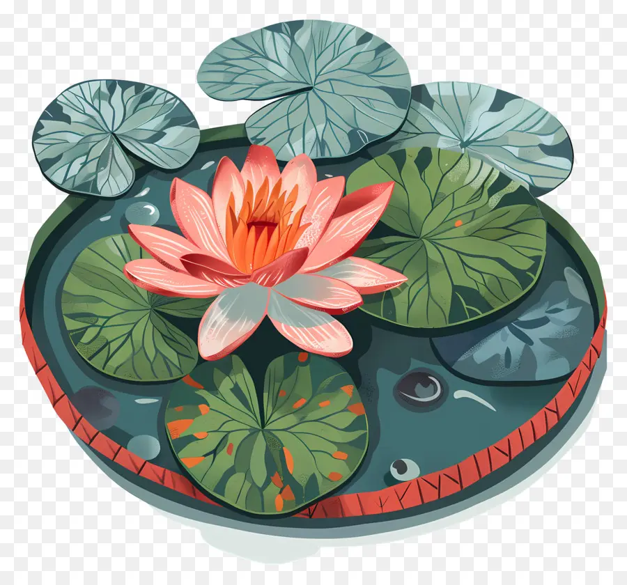Pad Lily，Fleur De Lotus PNG