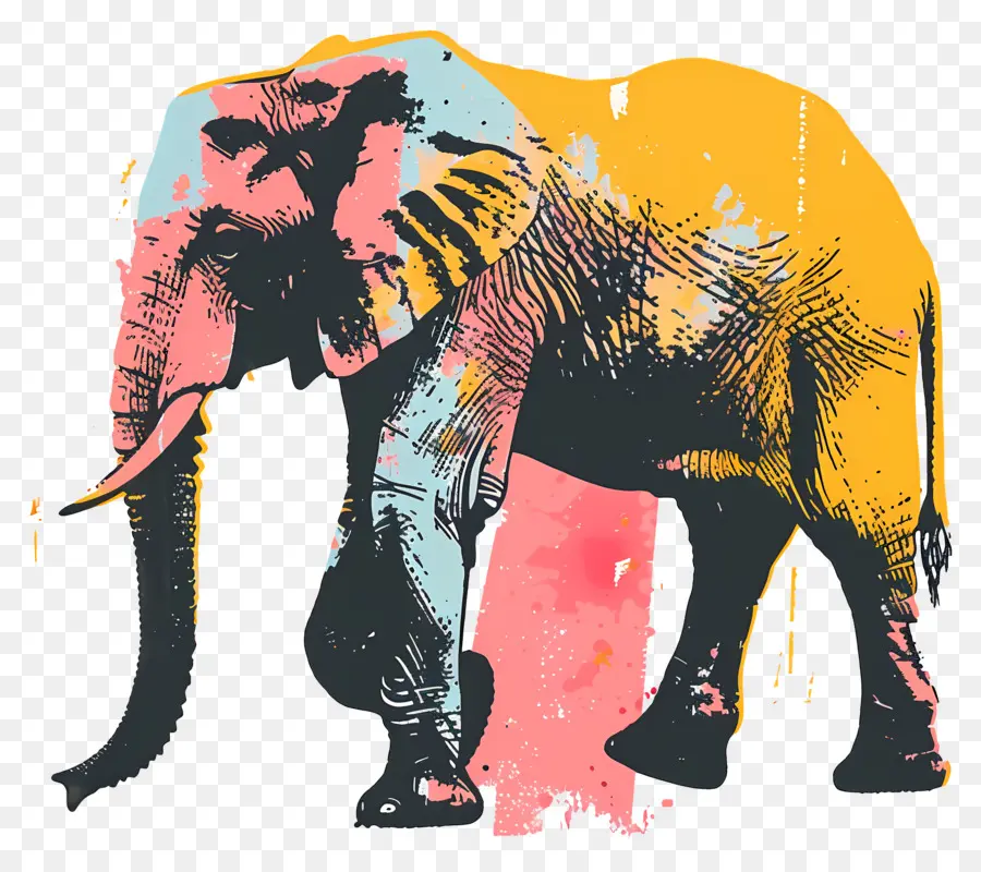 Éléphant，Coloré PNG