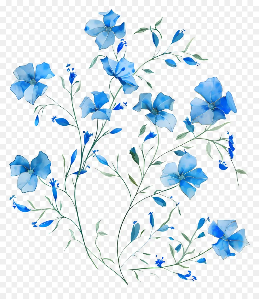 Fleurs Bleues，Bouquet PNG
