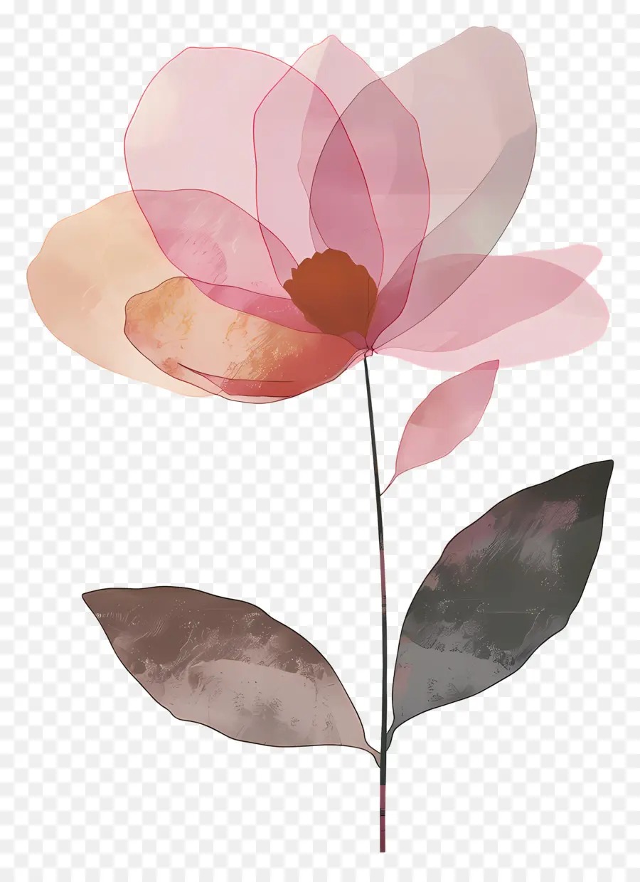 Fleur，Fleur Rose PNG