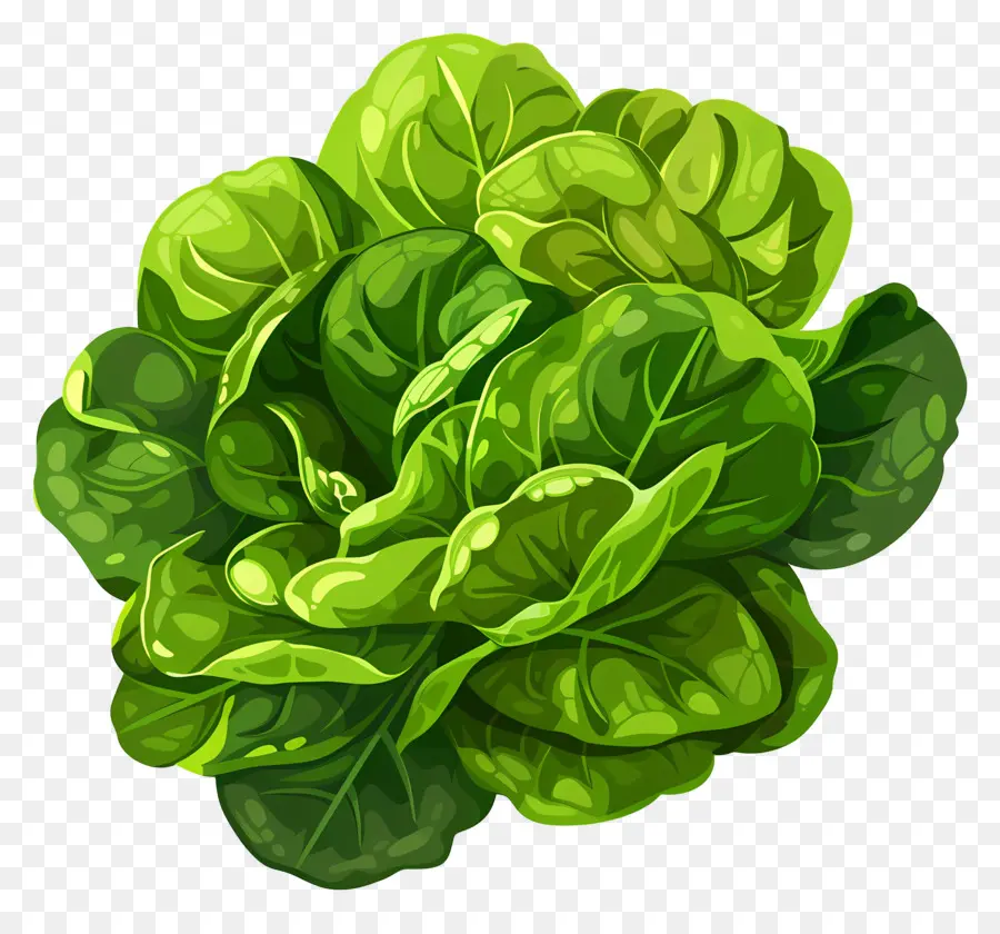 Légumes，Feuille De Laitue Verte PNG