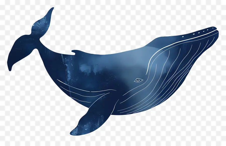 Baleine Bleue，Peinture PNG