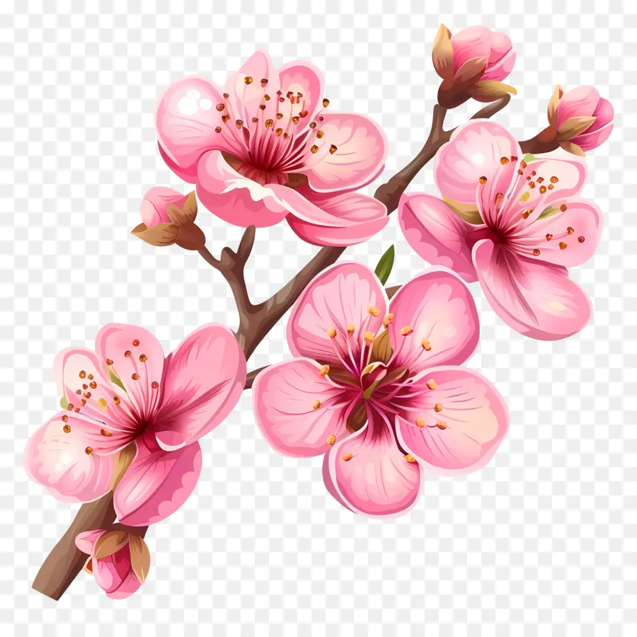 Fleurs Roses，Fleurs De Cerisier PNG