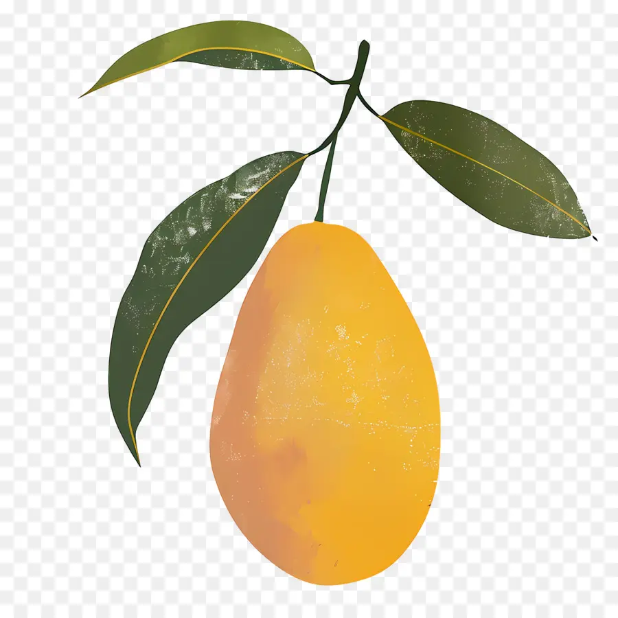La Mangue，Mûres PNG