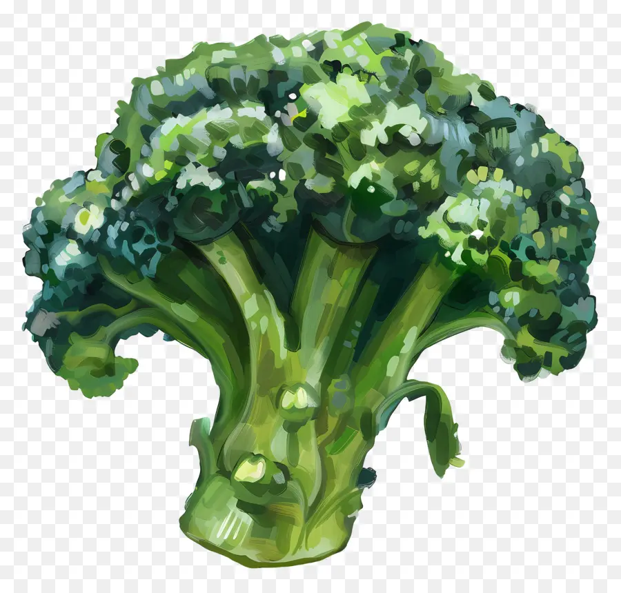 Brocoli，Frais PNG