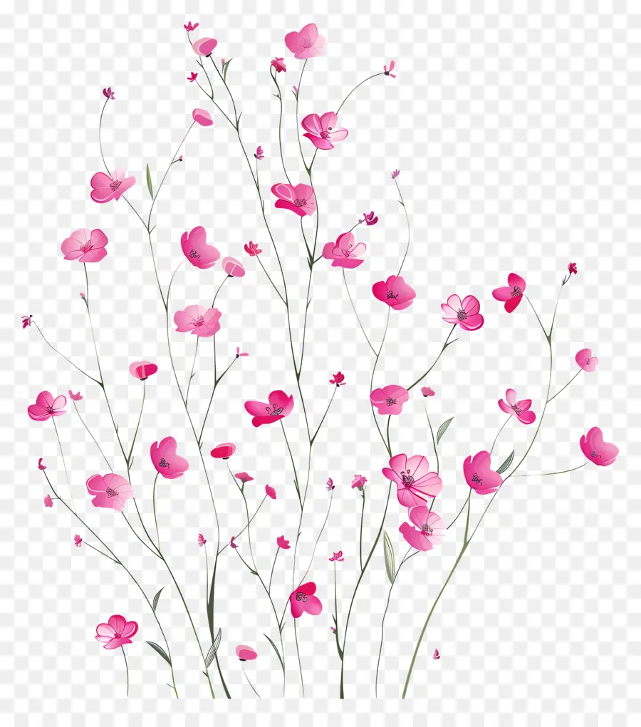 Fleurs Roses，Bouquet PNG
