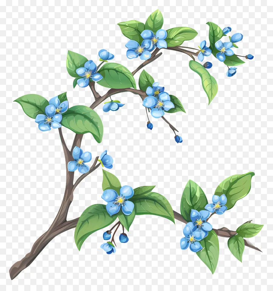 Fleurs Bleues，Petite Branche PNG