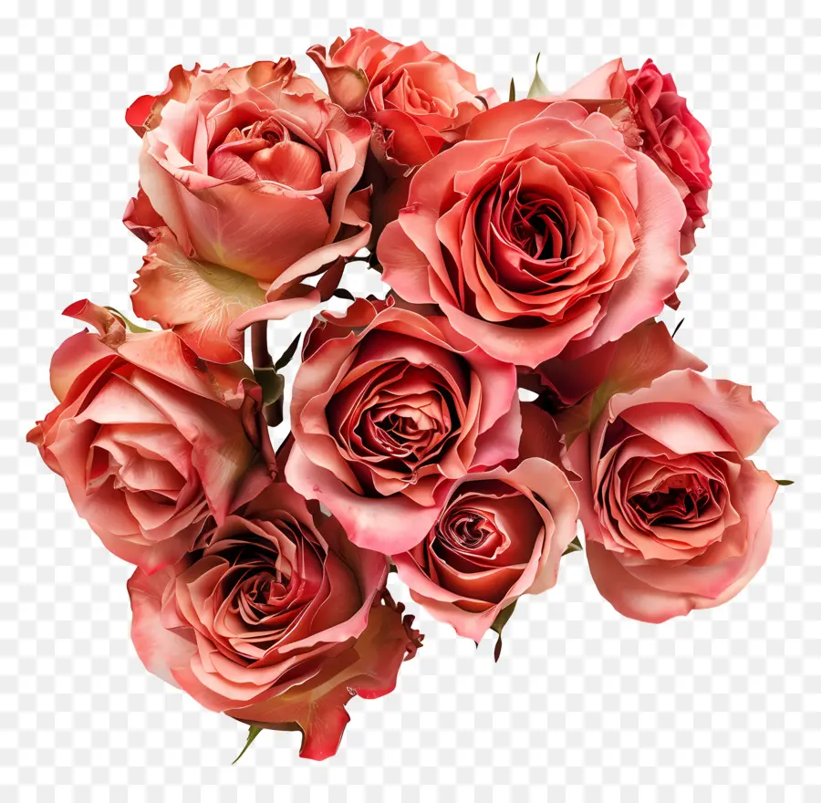 Tas De Fleurs，Les Roses Roses PNG