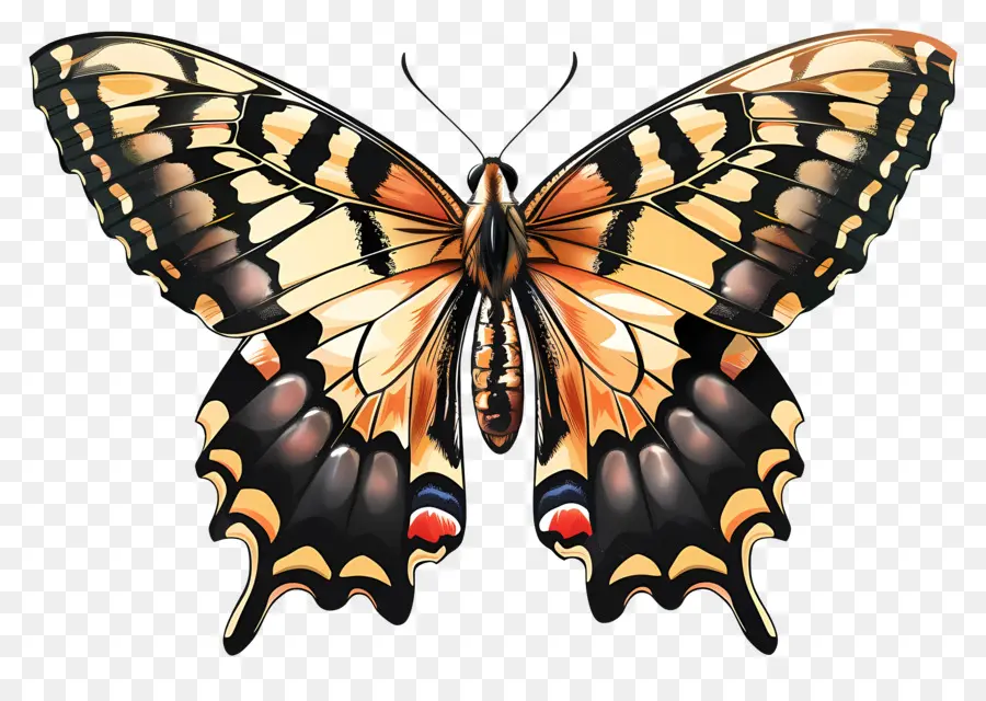 Papillon，Coloré PNG