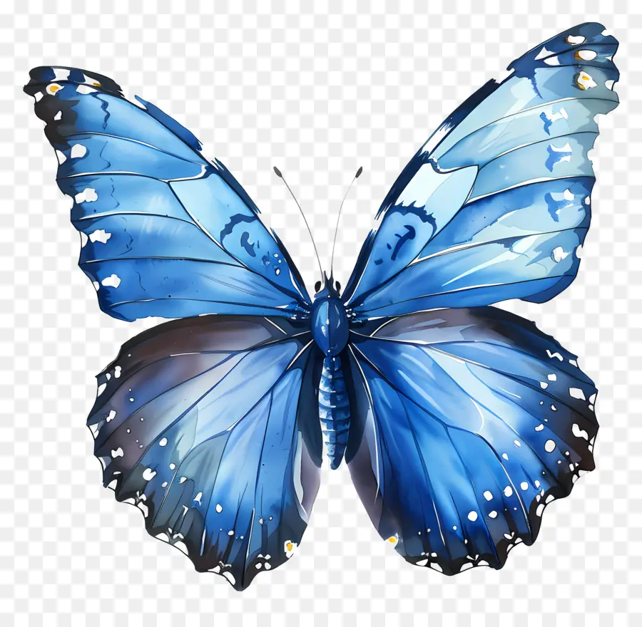Papillon Bleu，Papillon PNG