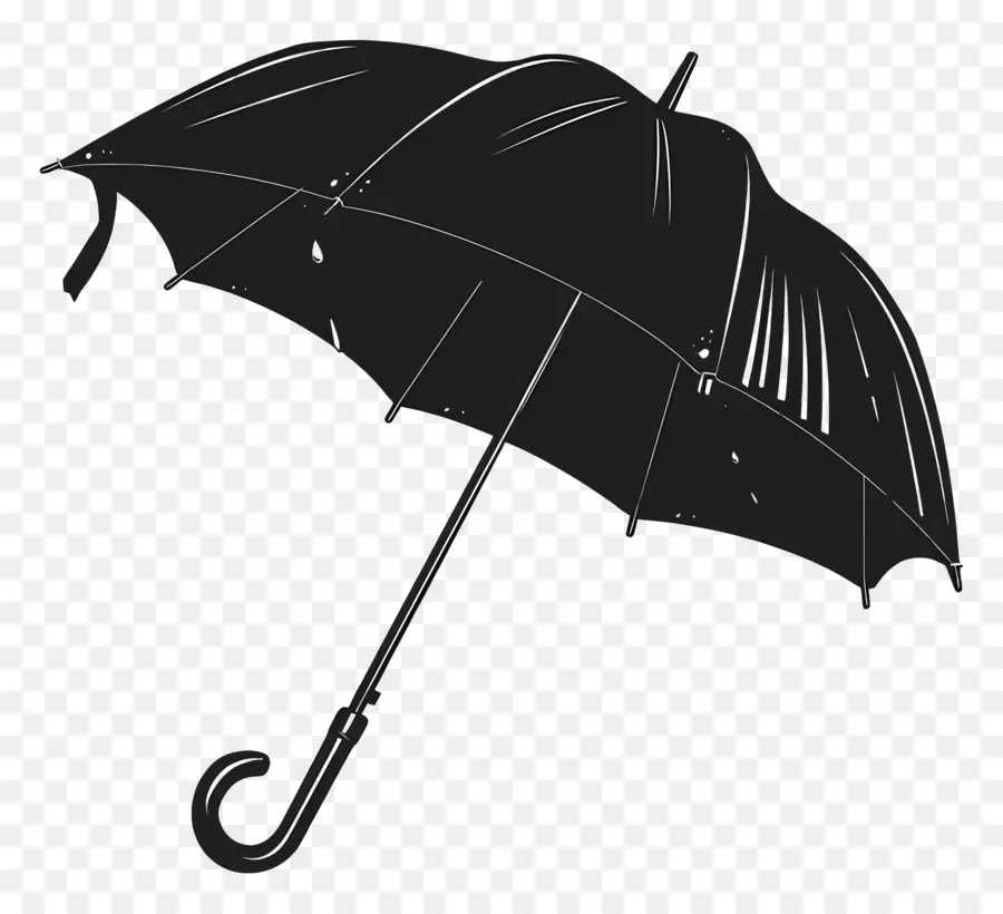 Parapluie Noir，Forme Conique PNG