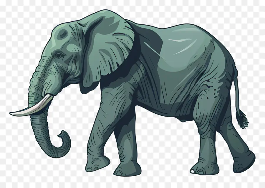 L'éléphant，Les Défenses PNG