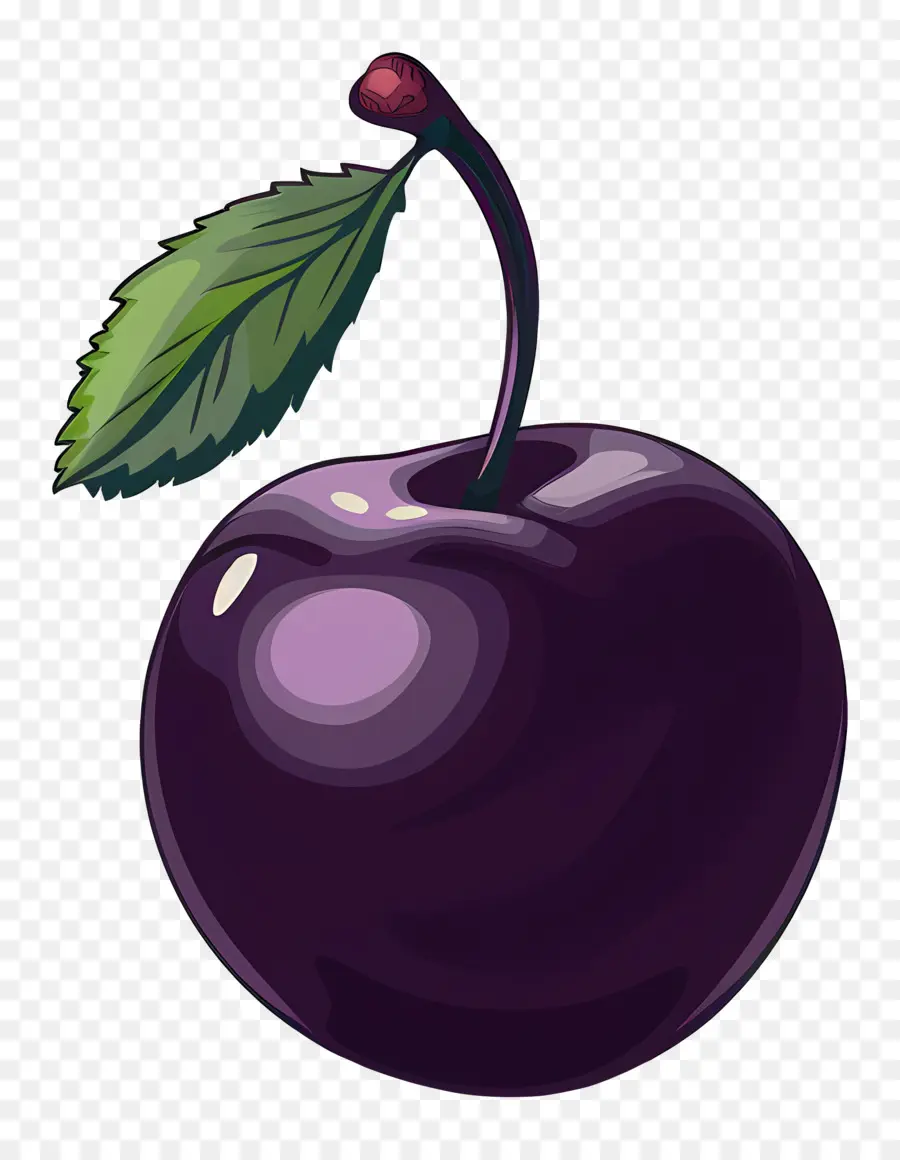 Prune，Fruit Pourpre PNG