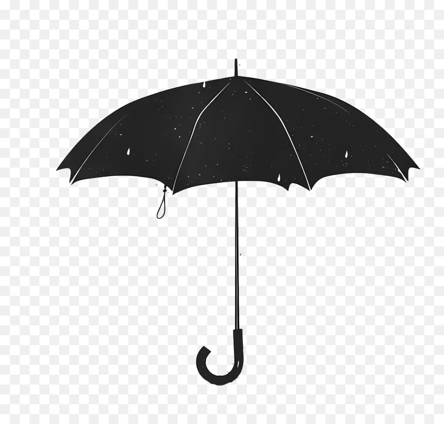 Parapluie Noir，Des Vêtements De Pluie PNG