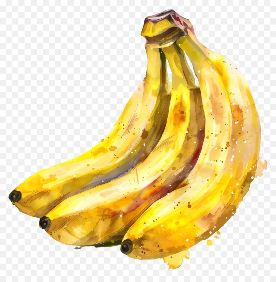 Les Bananes，Fruits PNG