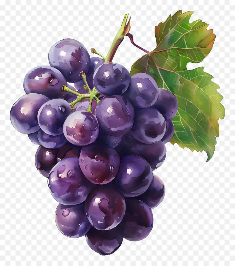 Raisins，Violet PNG