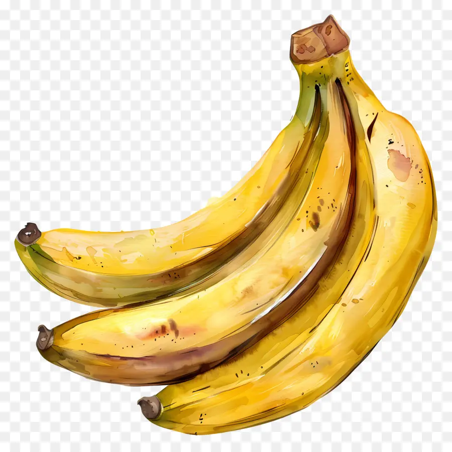 Les Bananes，Peinture à L'aquarelle PNG