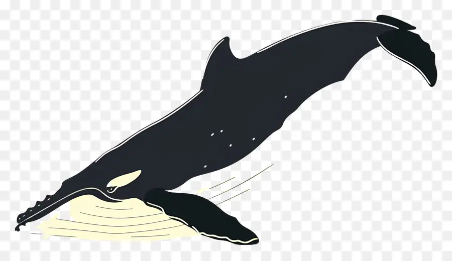 Baleine，Épaulard PNG