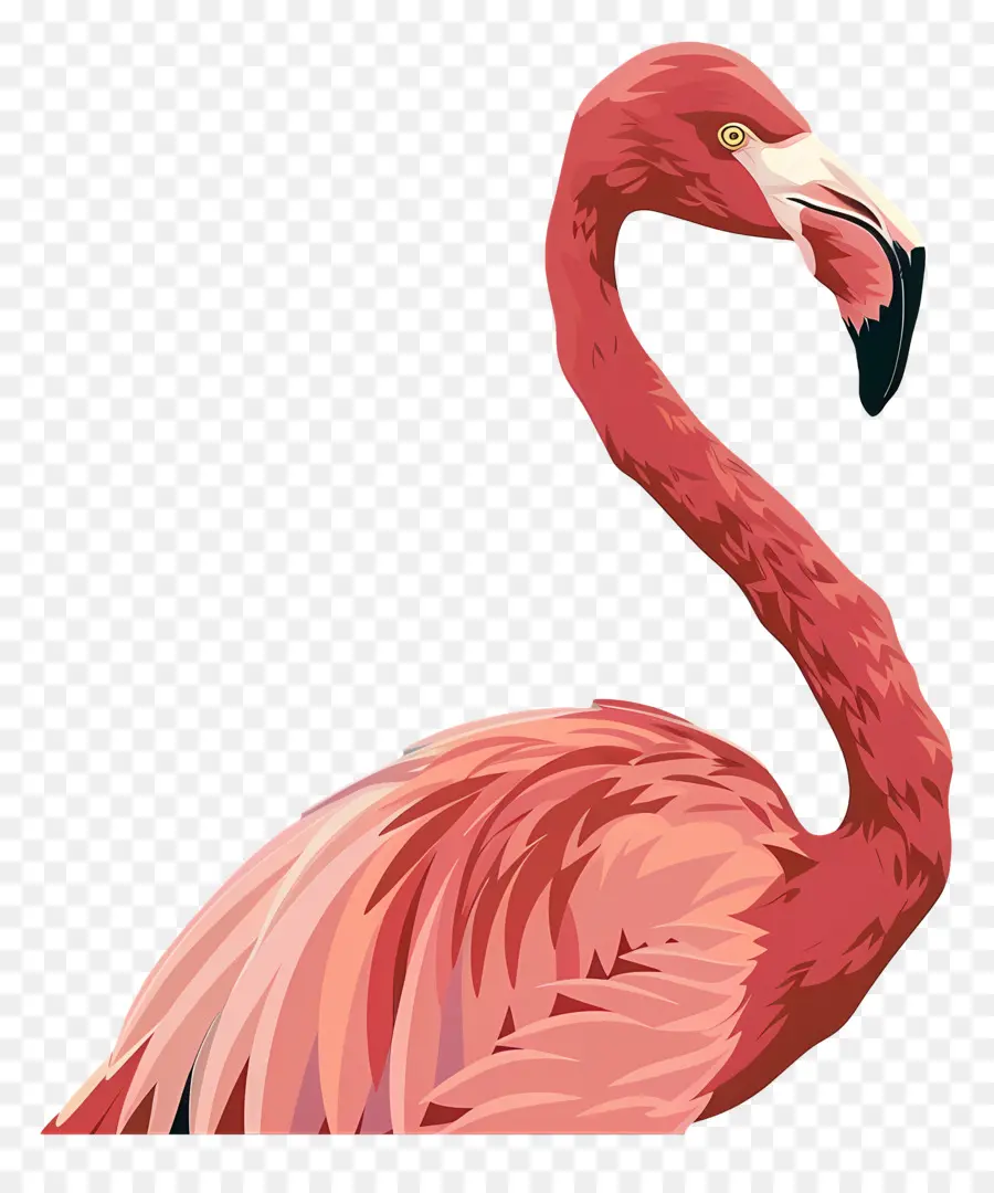 Flamingo，Rose PNG