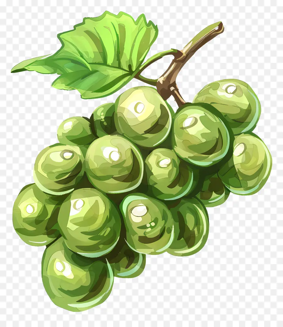 Raisins，Raisins Verts PNG