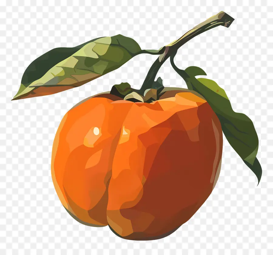 Persimmon，Orange PNG