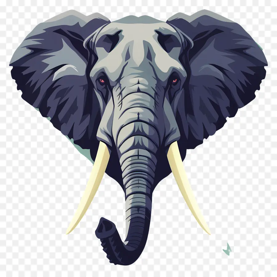 L'éléphant，La Faune PNG
