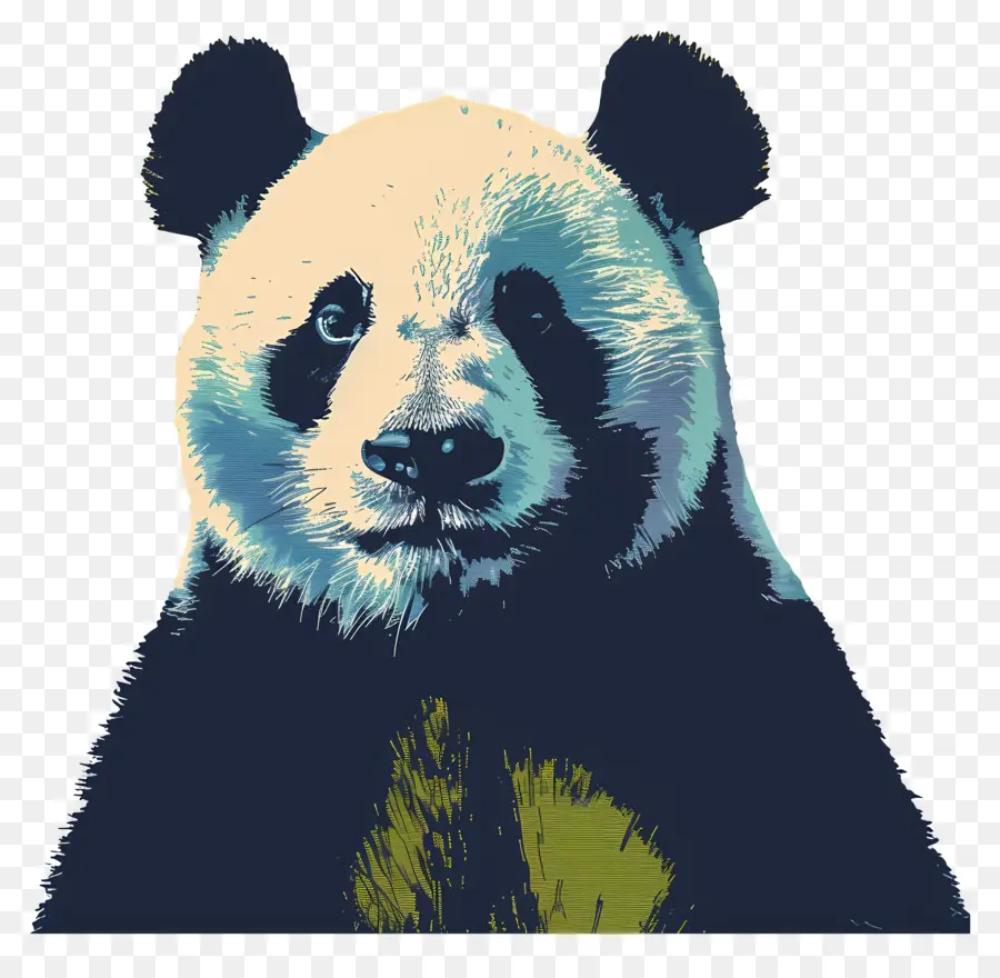 Panda，Ours PNG