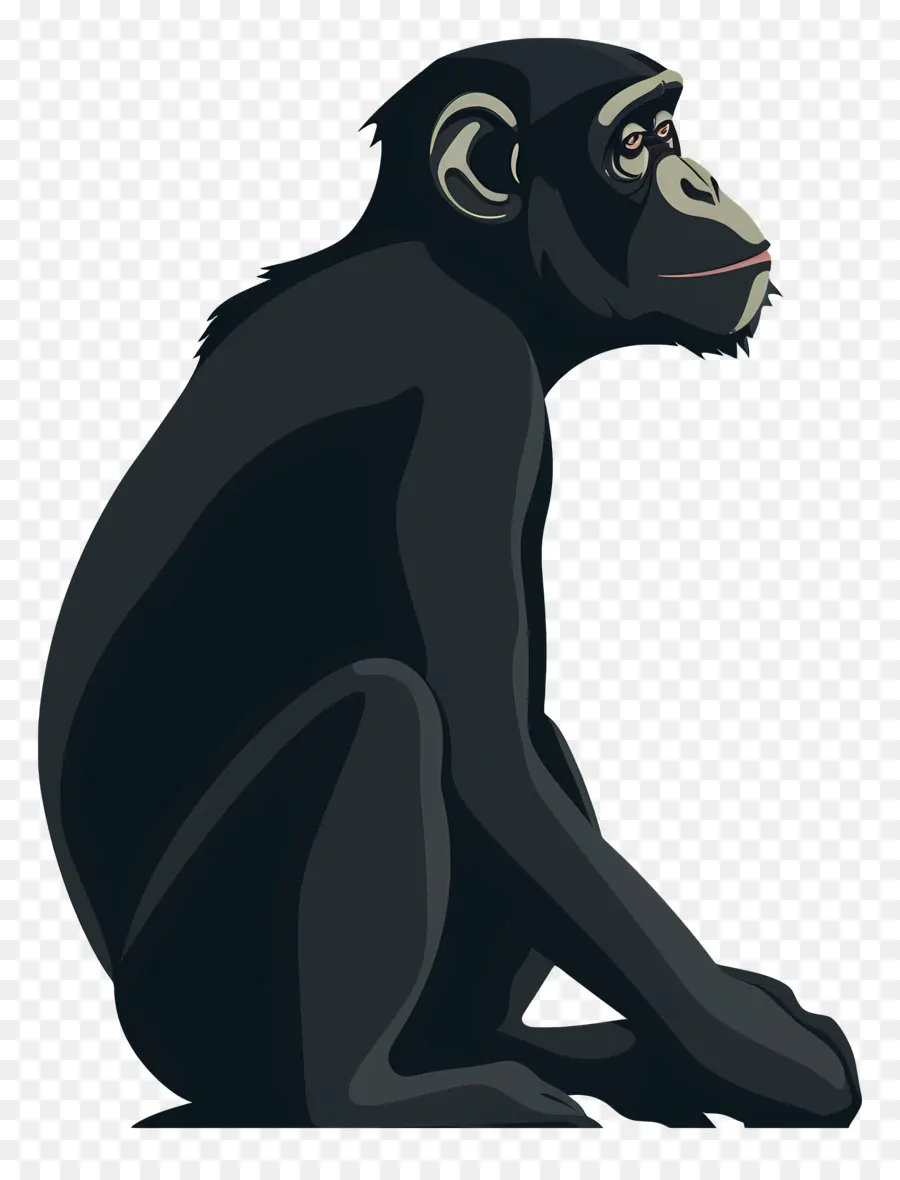 Singe，Chimpanzé PNG