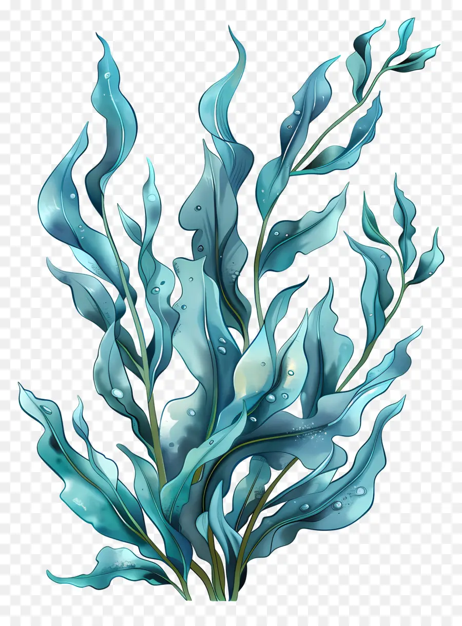 Les Algues，Bleu PNG