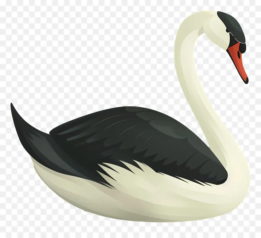 Cygne，La Sauvagine PNG