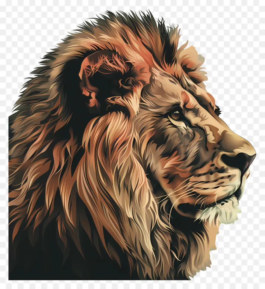 Lion，Peinture Numérique PNG