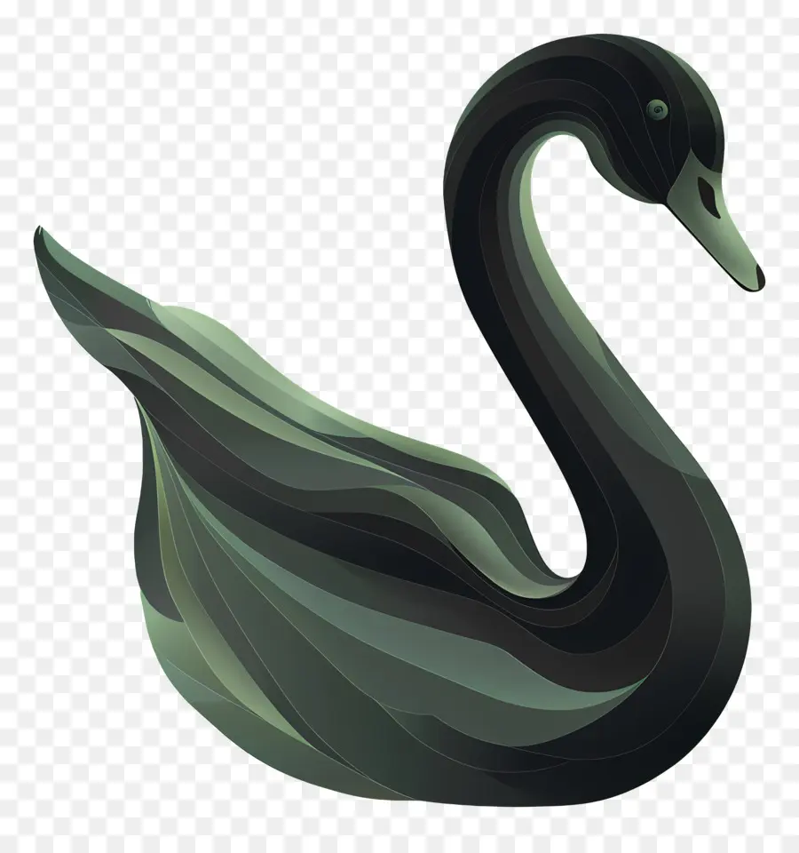 Cygne，Cygne Noir PNG