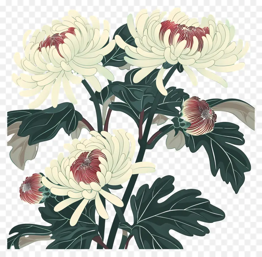 Les Chrysanthèmes，Fleurs PNG