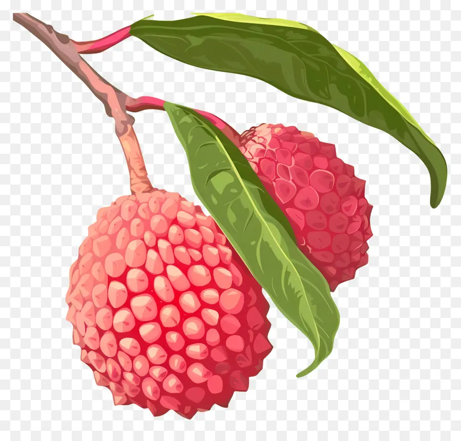 Litchi，Prunes PNG