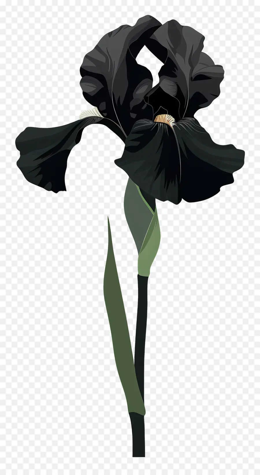 Iris，Fleur D'iris Noir PNG