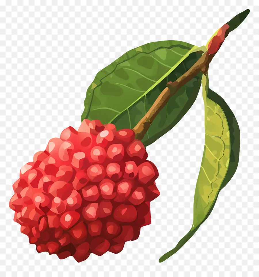 Litchi，Fruits Rouges PNG