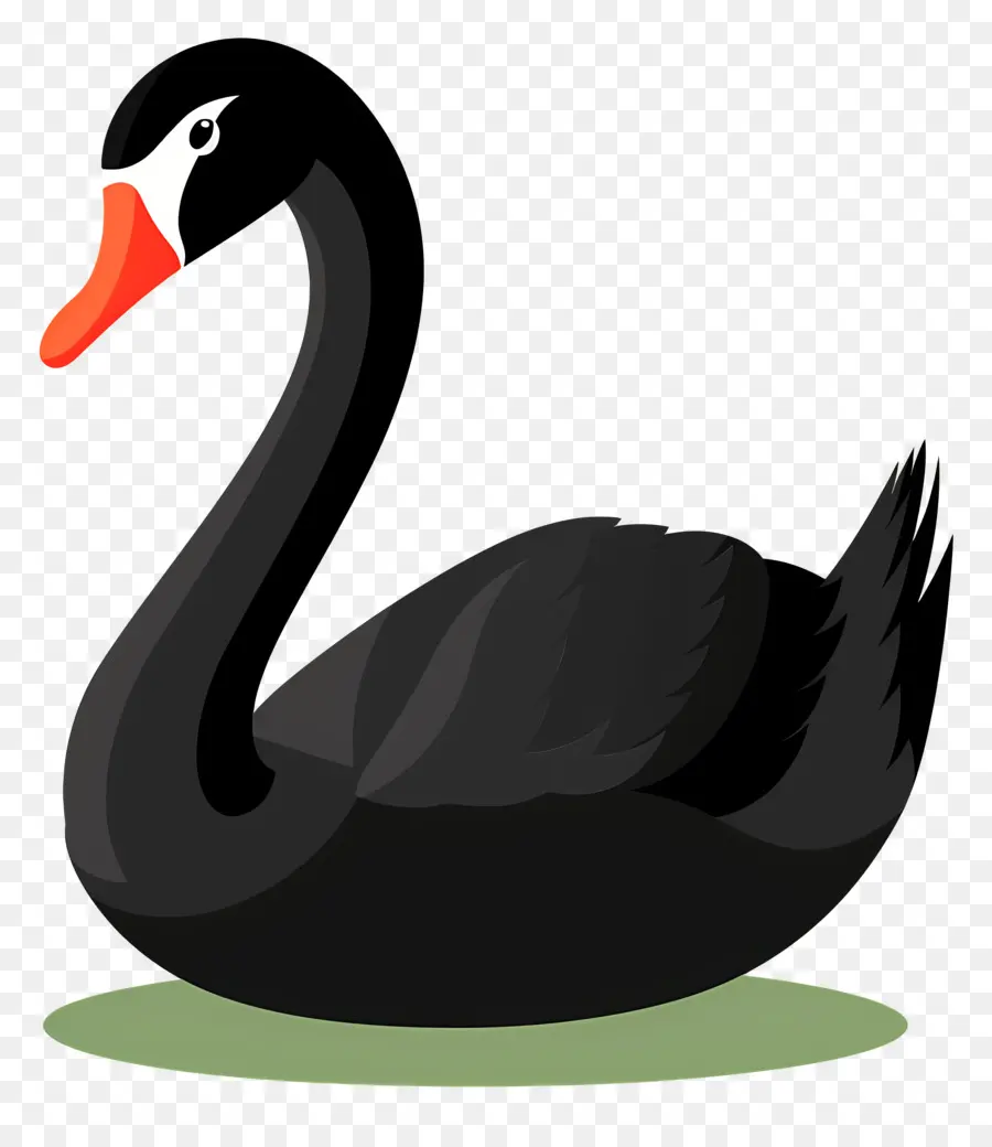 Cygne，Noir PNG