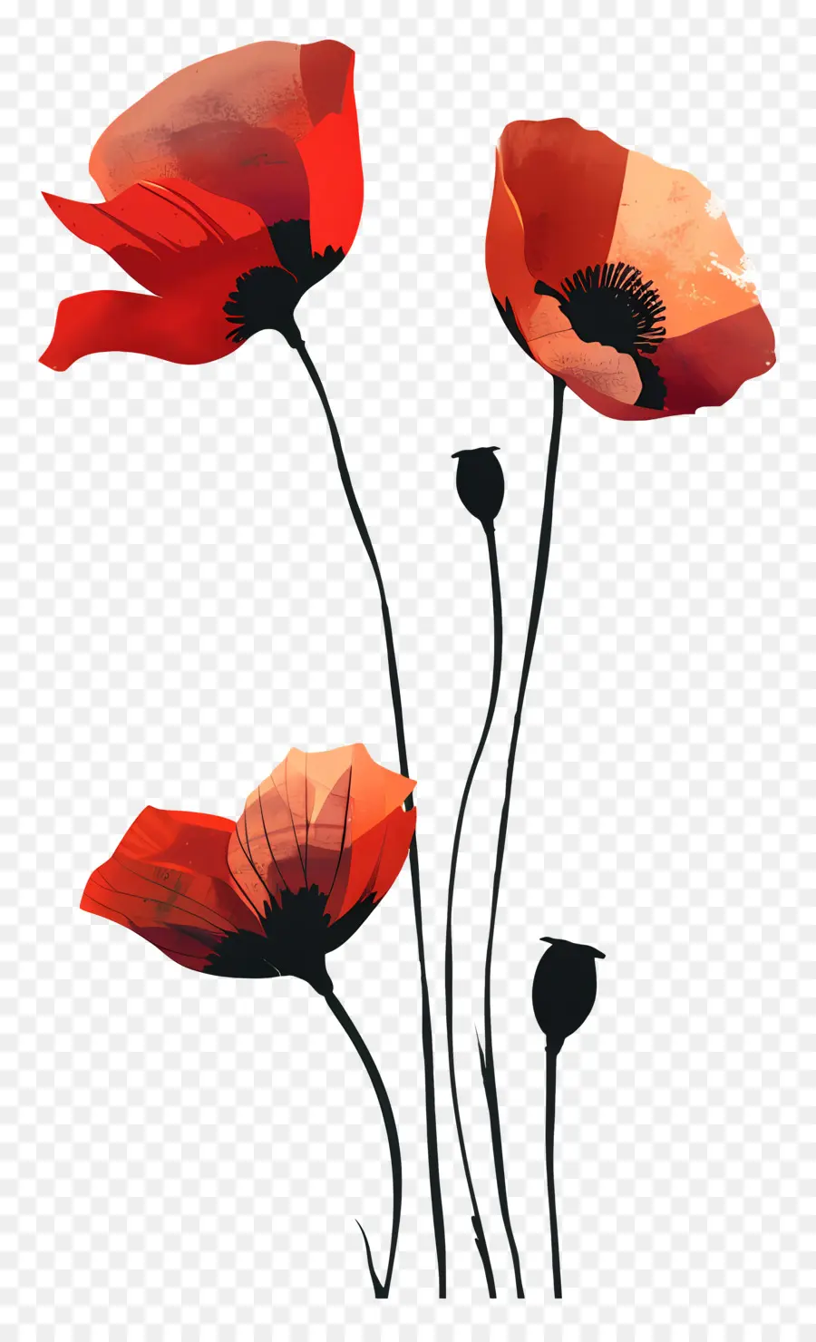 Coquelicots，Fleurs PNG