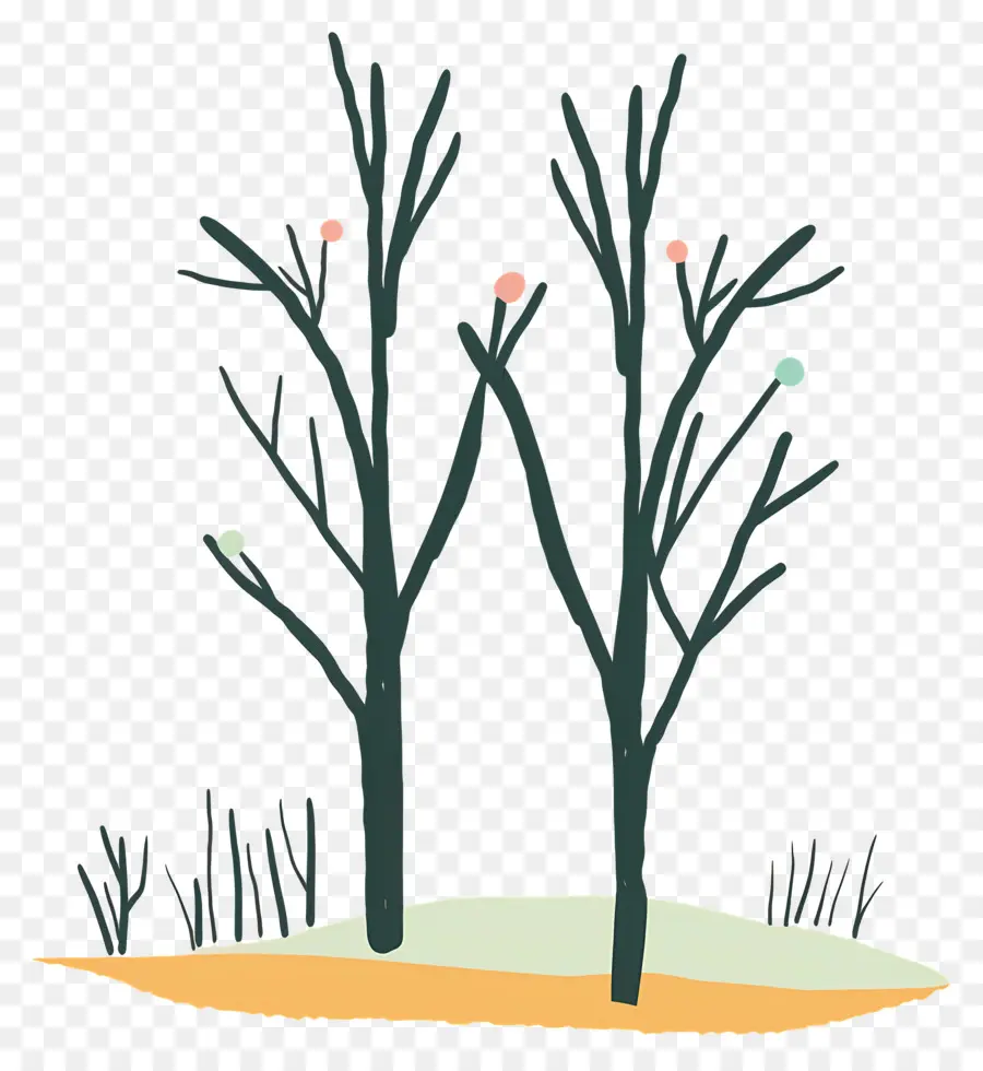 Des Arbres Nus，L'hiver PNG