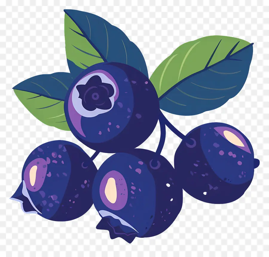 Les Bleuets，Fruits PNG