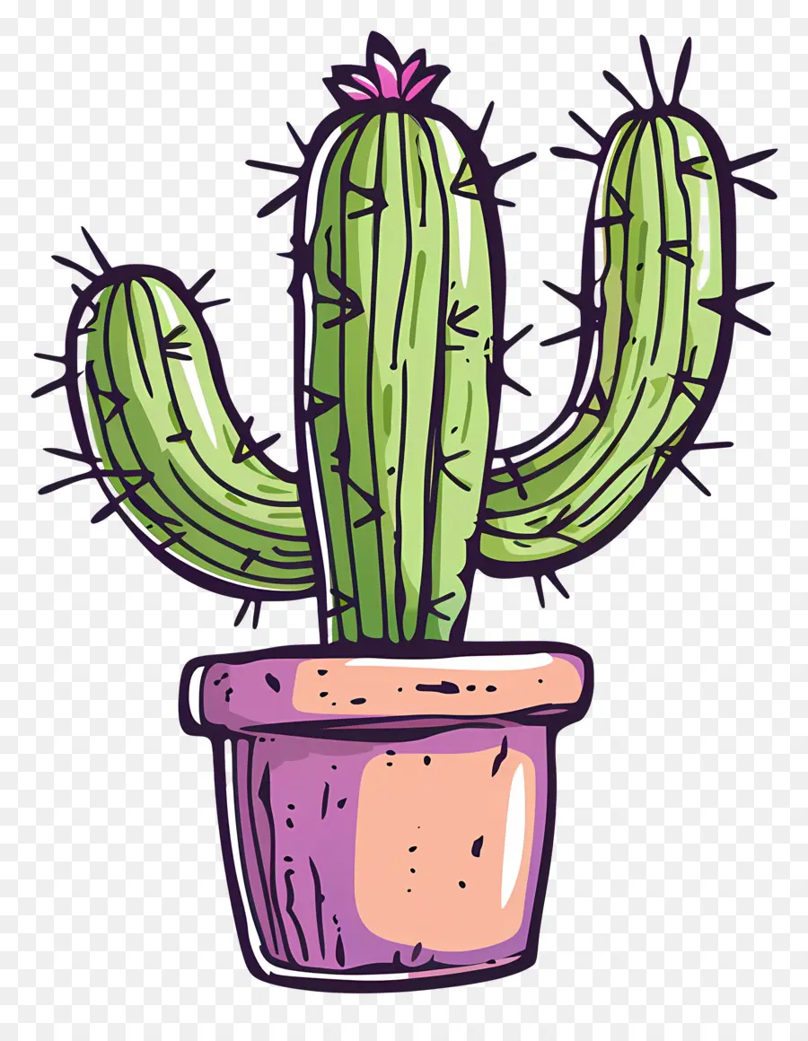 Cactus，Plante En Pot PNG