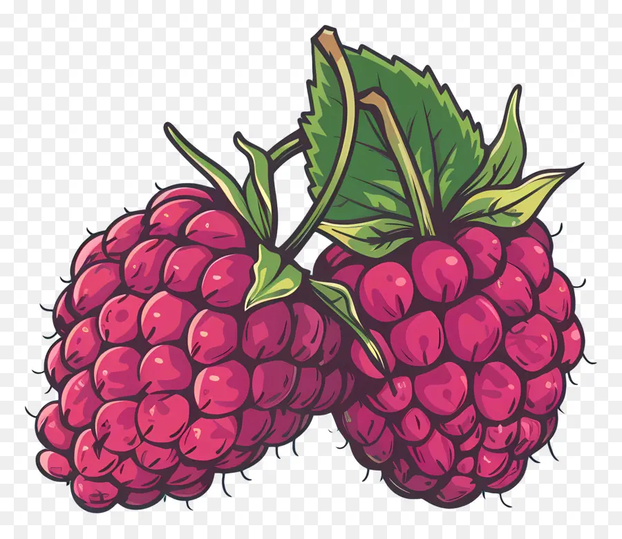 Framboises，La Cueillette Des Fruits PNG